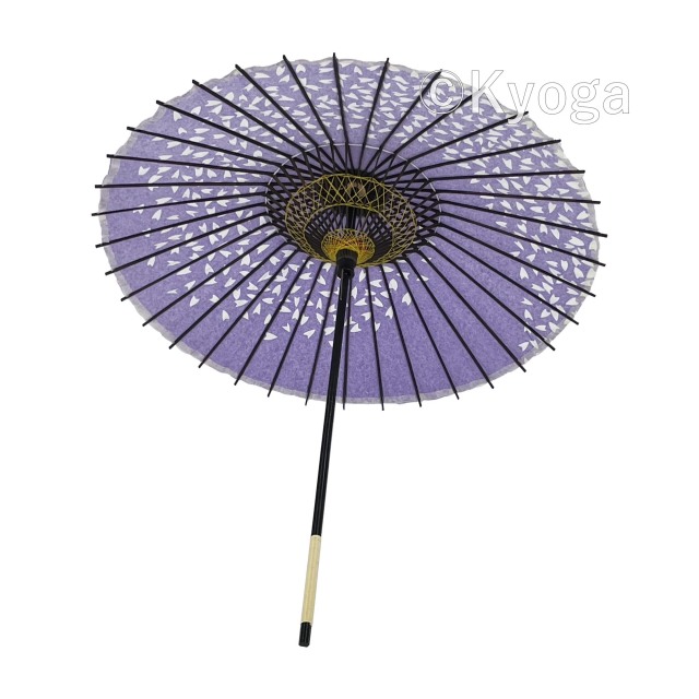 aa0039_2.jpg?t=20240720181253