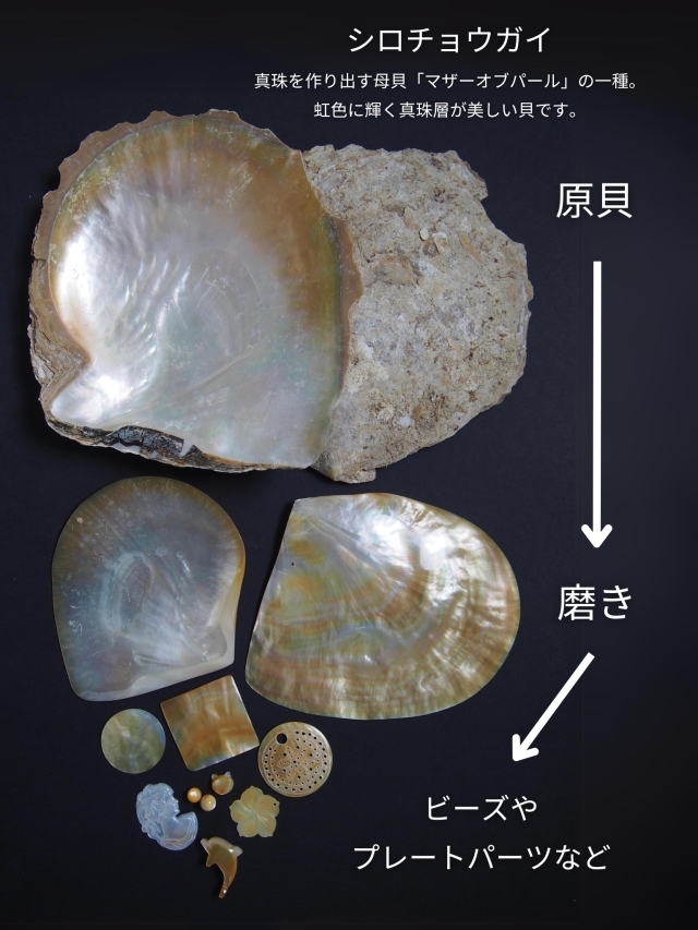 シェルビーズ -三日月 横穴 イエロー(大)(シロチョウガイ)【約20mm/1個