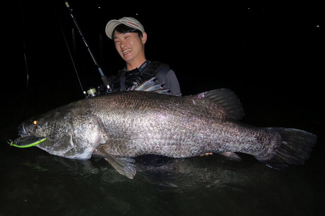 ツララ（TULALA） ハーモニクス スタッカート 86 MHLS-HX ストロー