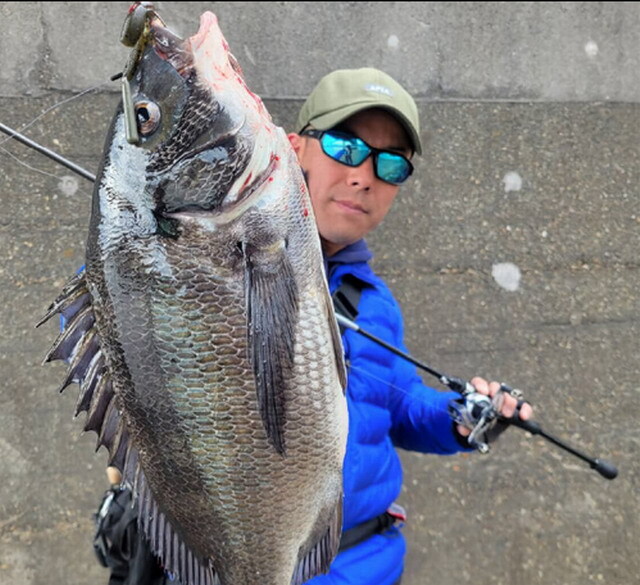 アピア グランデージ ヴァイスC75ML 【シーバスルアー専門店 キング