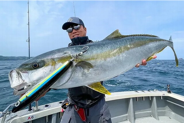 トランスセンデンス（TRANSCENDENCE） ギブリ80S 25【シーバスルアー