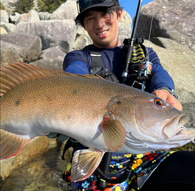 トランスセンデンス 24 マーレフリップ 120S+ （TRANSCENDENCE 24