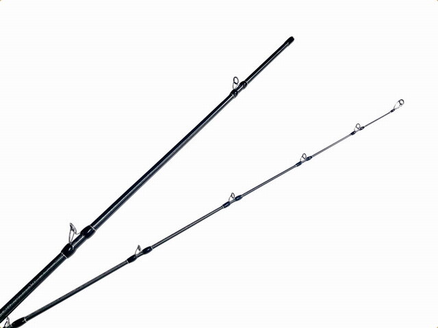 フィッシュマン ブリストマリノ9.9H (BRIST MARINO9.9H)【シーバス