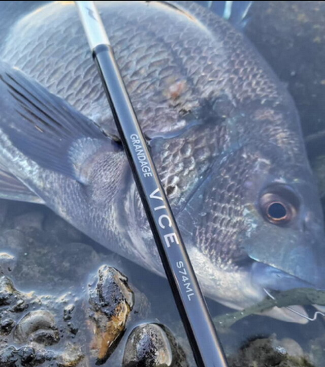 アピア グランデージ ヴァイスS74ML 【シーバスルアー専門店 キング