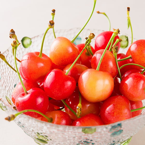 000-03001sq2.jpg?t=20240517102625