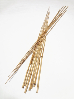 和竿・釣竿製作竹材のべ竿タイプ”極細1本素材【布袋竹短材】