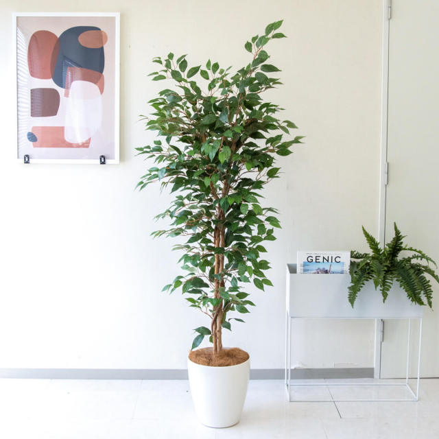 人工 観葉植物 フェイク グリーン ベンジャミン H約160cm 店舗 装飾