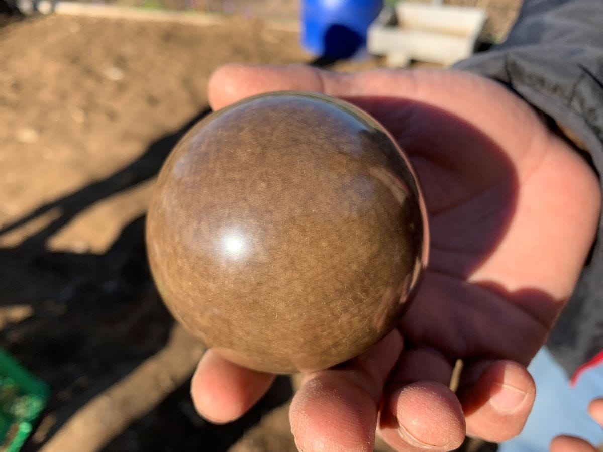 空き瓶で磨いていくと「ピカピカ泥団子」が完成する - 熊谷経済新聞