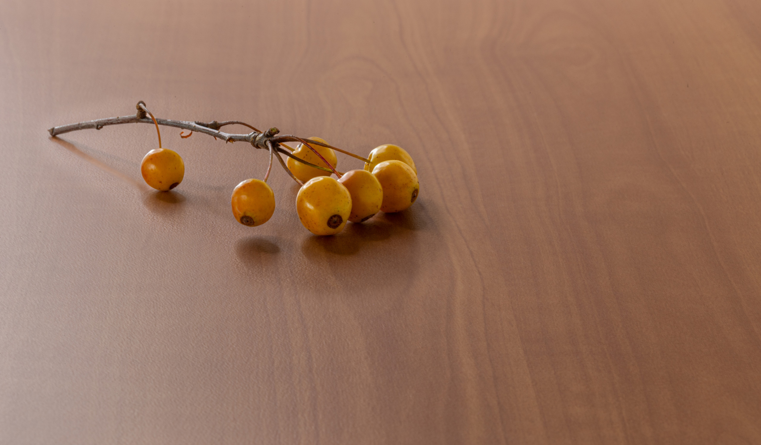 High Pressure Laminate - Maize Walnut - Y0636