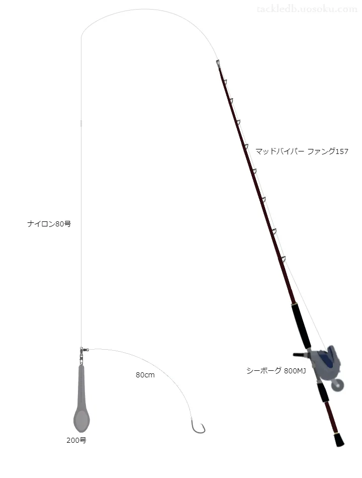 クエ釣りのタックル！使われるロッドや仕掛けについて | 魚速タックルDB