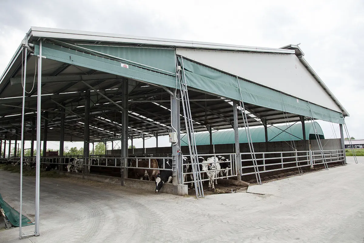 牛家畜小屋 - DUE A s.r.l.