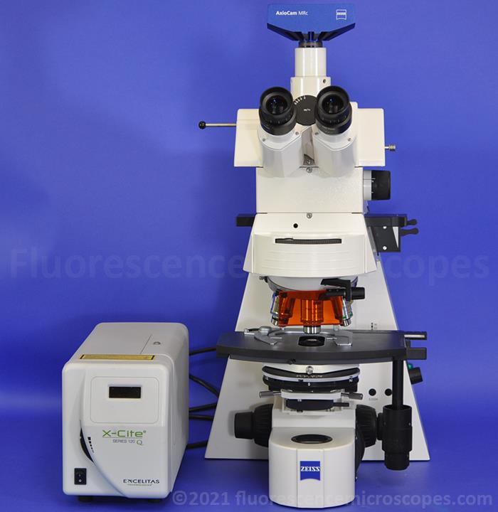 Zeiss AxioPlan-2ie Imaging Manual Upright Fluorescence DIC Phase