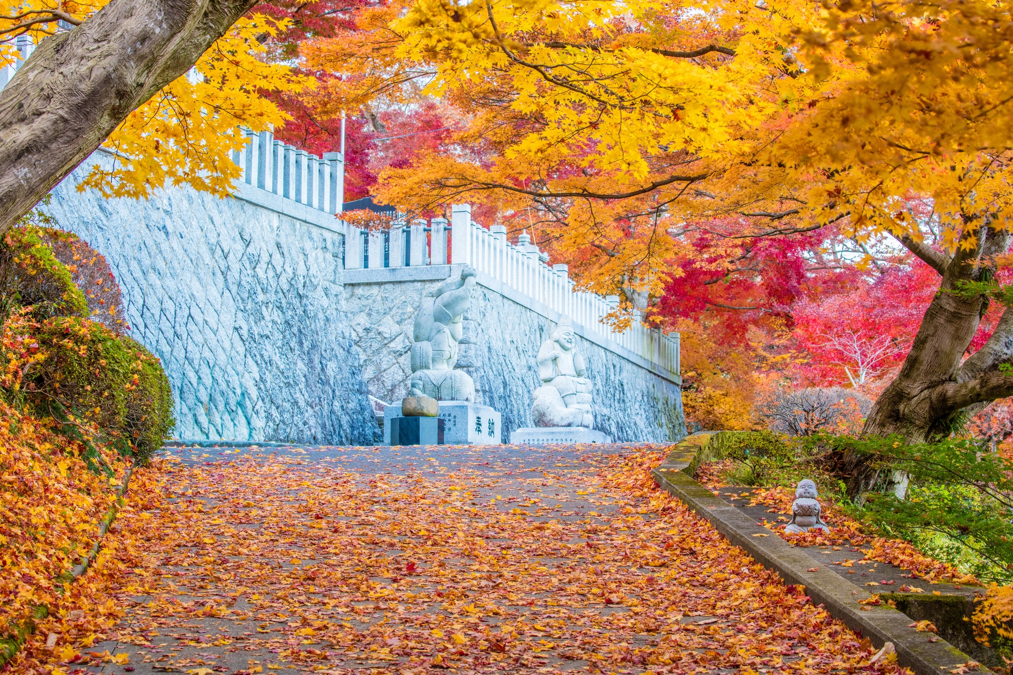 ザランタンひたち大宮】当施設から行けるおすすめ紅葉スポット6選