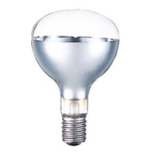 岩崎電気 屋外投光用アイランプ RF110V450WH (電球・蛍光灯) 価格比較