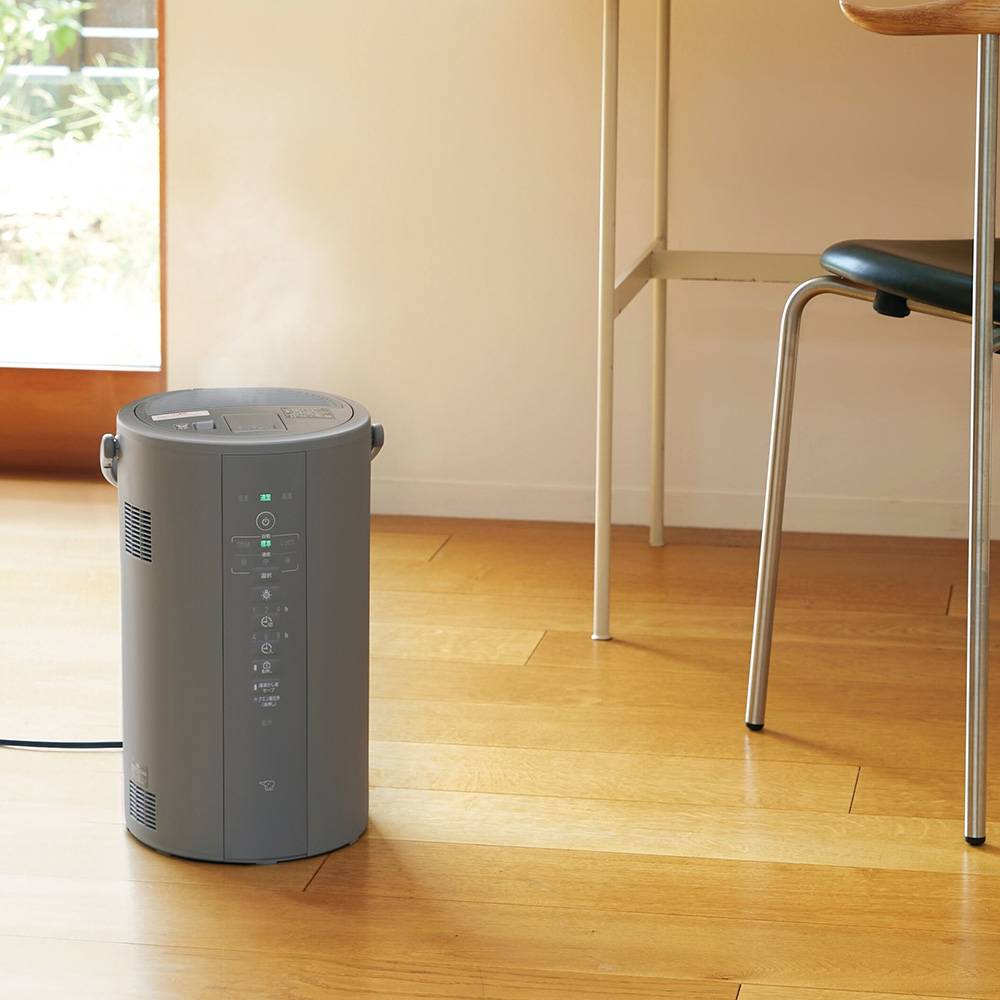象印 スチーム式加湿器 EE-DF35 3Lタイプ 通販 - ディノス