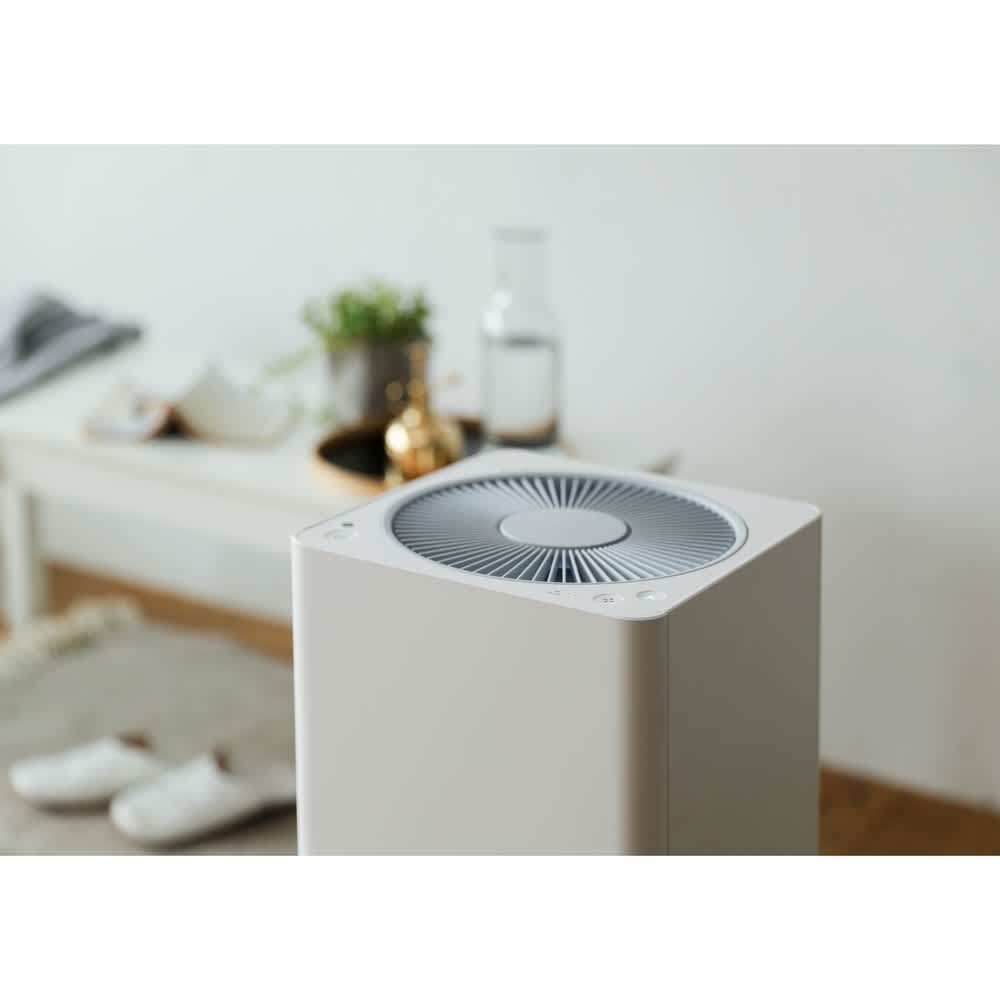 BALMUDA The Pure/バルミューダ ザ ピュア 通販 - ディノス