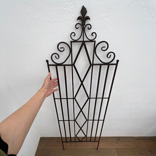 園芸ネット本店｜ロンバス・アイアントレリス（ZXZ-21） の通販【公式】