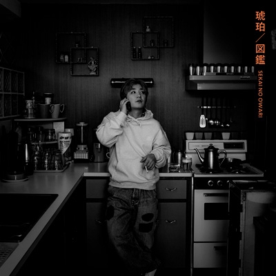 琥珀／図鑑【通常盤A】 : SEKAI NO OWARI | HMV&BOOKS online - TYCT-30162