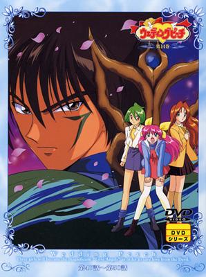 ウェディングピーチ 第14巻 | HMV&BOOKS online - JDXA-25794