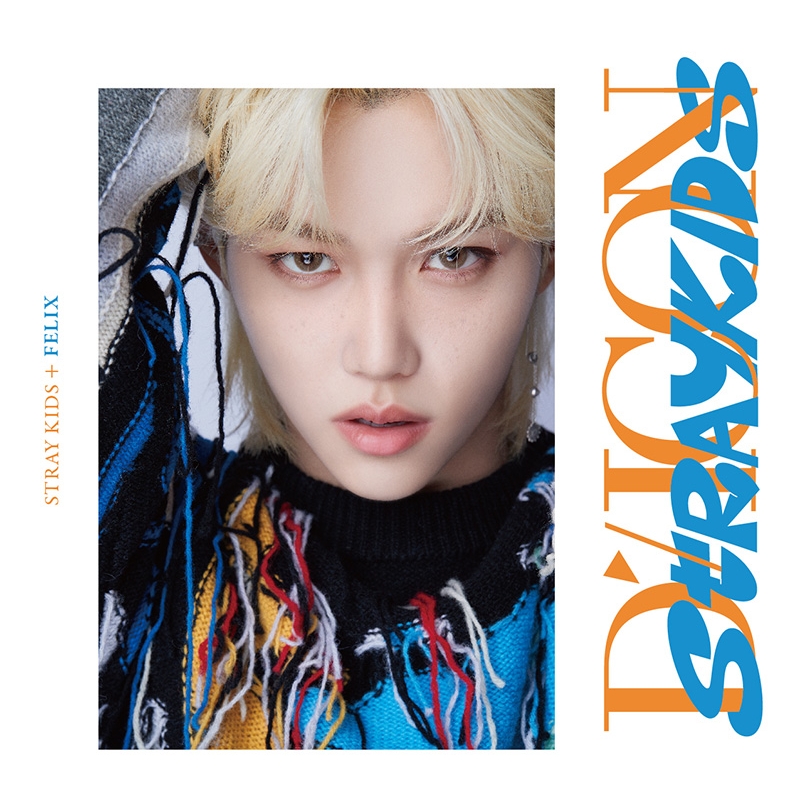 DICON D'FESTA MINI EDITION STRAY KIDS FELIX《全額内金》 : Stray