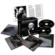 映像】チェリビダッケ＆ミュンヘン・フィルの芸術的遺産|クラシック