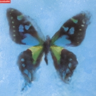 アゲハ蝶 : Porno Graffitti | HMV&BOOKS online : Online Shopping