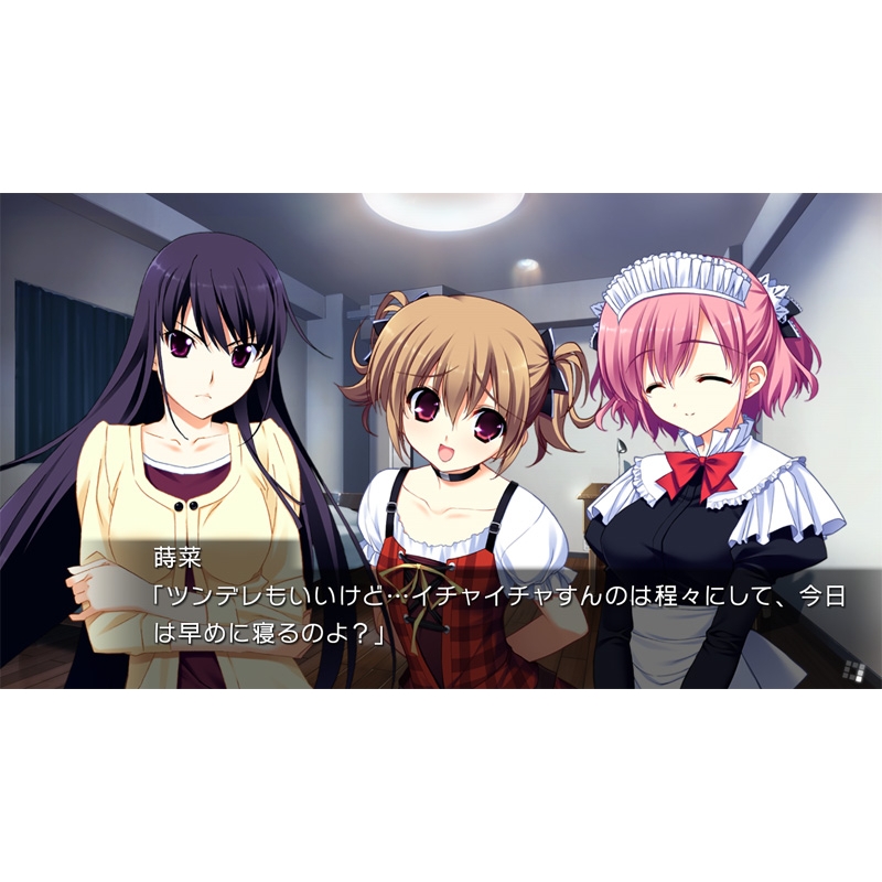 グリザイアの果実・迷宮・楽園 フルパッケージ : Game Soft (Nintendo