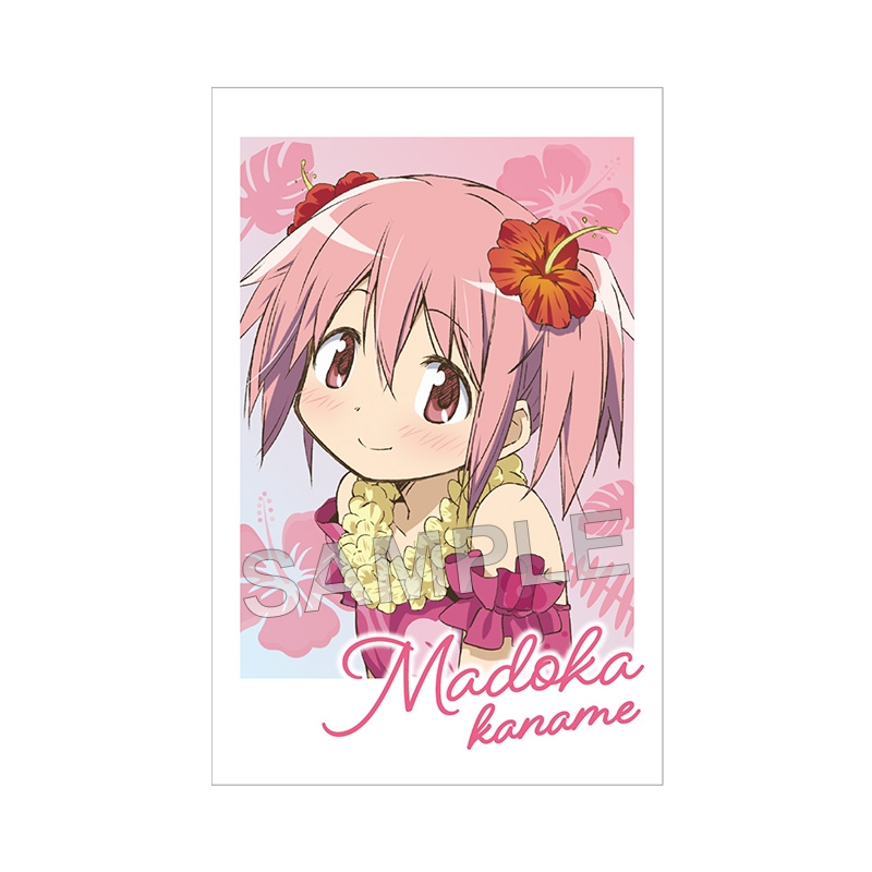 フォト風カード コンプリートセット【@Loppi・HMV限定】 : 魔法少女