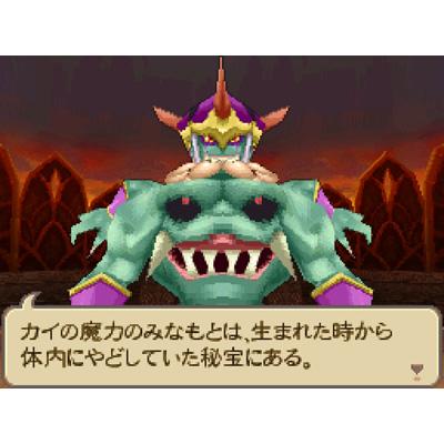 サガ2秘宝伝説 GODDESS OF DESTINY : Game Soft (Nintendo DS