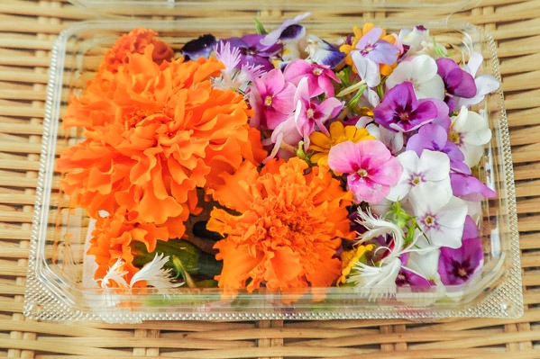 エディブルフラワー 【業務用食材の仕入れなら八面六臂】