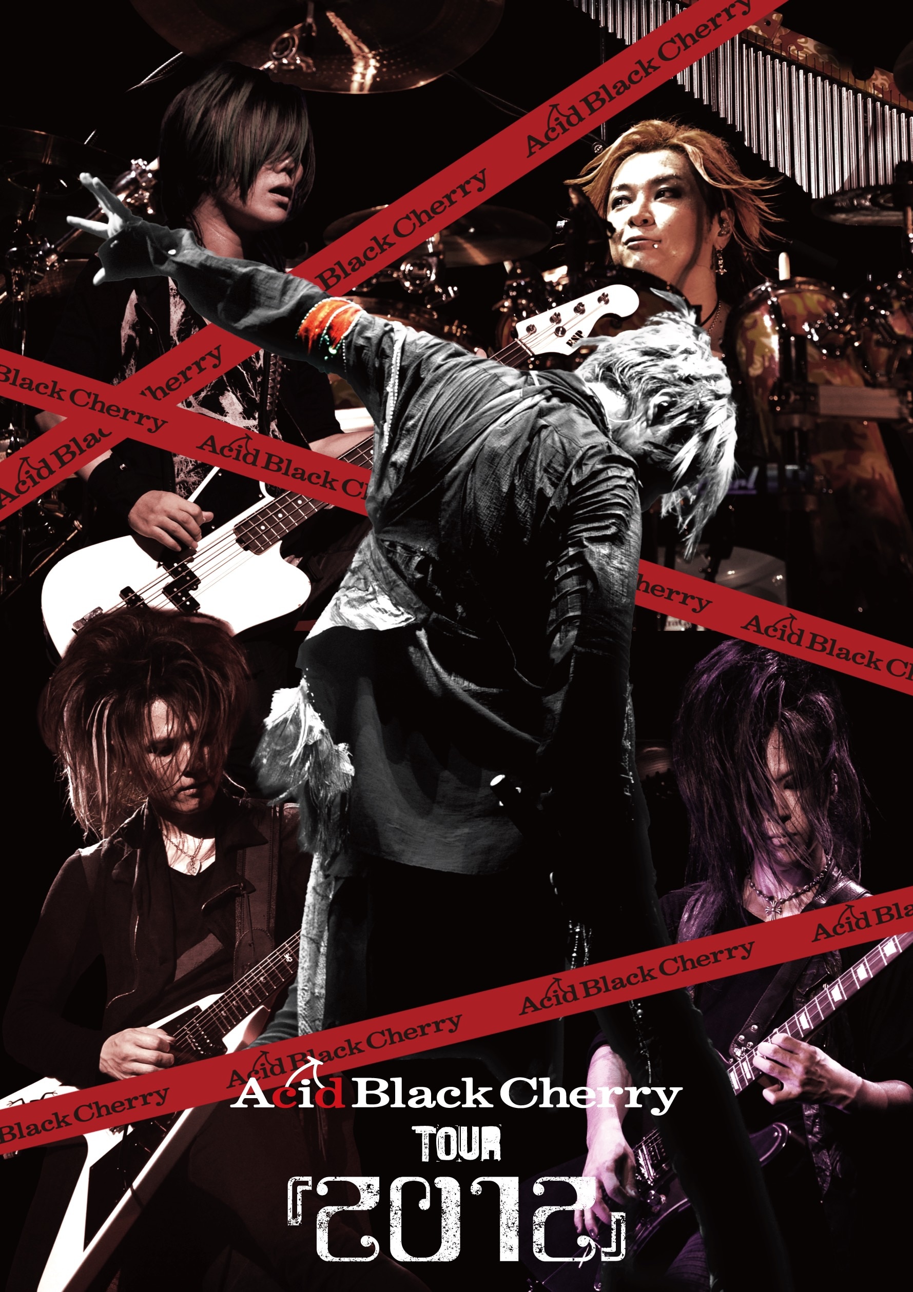 Acid Black Cherry 2009 tour 
