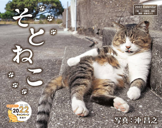 そとねこ - インプレスブックス