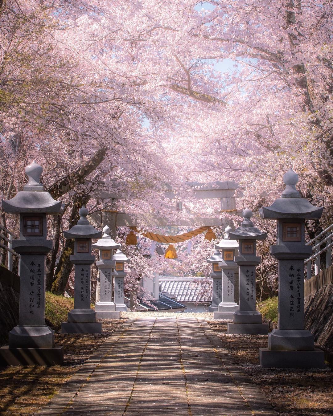 Nikon D750を徹底解説。作例からおすすめレンズまで | ONE SCENE（ワン