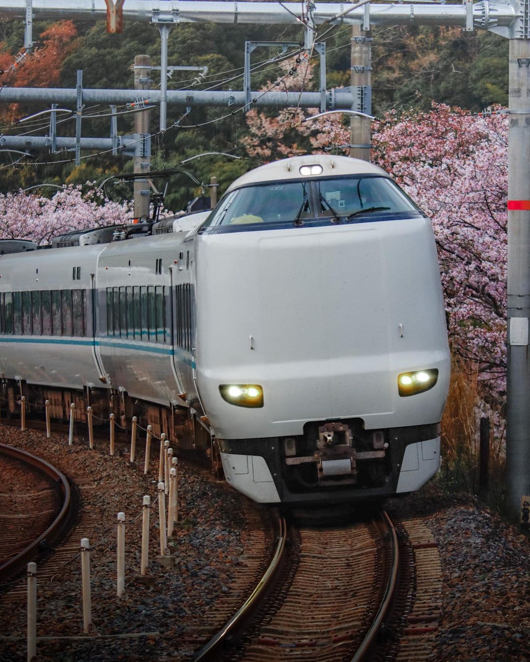 TAMRON 100-400mm F/4.5-6.3 Di VC USD（Model A035）を徹底解説。作例