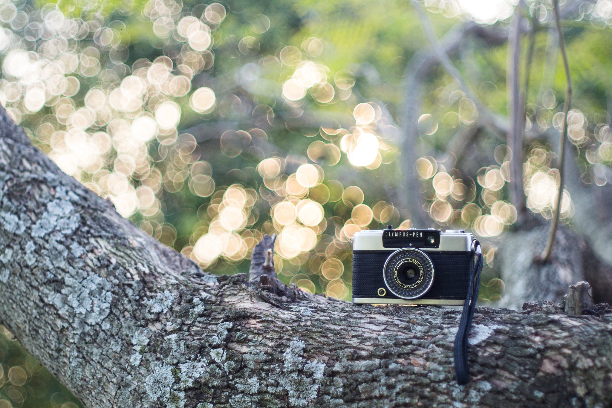 OLYMPUS PEN EE-3を徹底解説。作例から中古価格・使い方まで | ONE