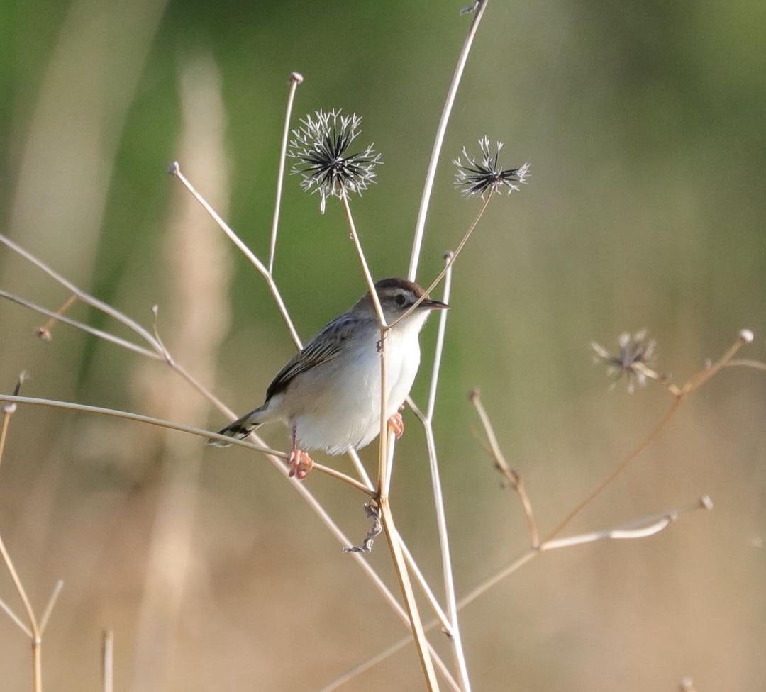 Canon EOS 5Ds / 5DsRを徹底解説。作例からおすすめレンズまで | ONE