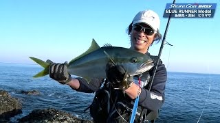 JIGARO / ジガロ ｜ PALMS ｜ 株式会社パームス