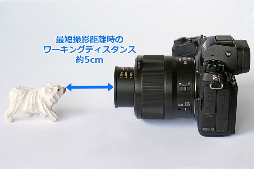 期待以上の写り！ ニコンの標準マイクロレンズ「NIKKOR Z MC 50mm f