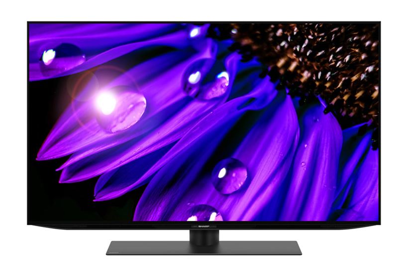 各社で画質は別物！ 42V型有機ELテレビ4機種レビュー - 価格.comマガジン