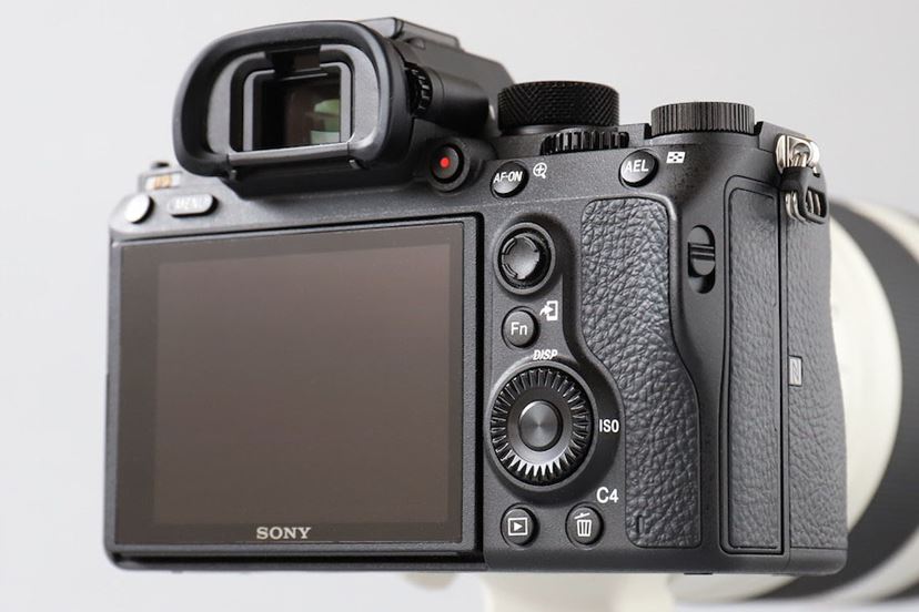 20コマ/秒の超高速連写に驚愕！ ソニー「α9」の動体撮影性能をレビュー