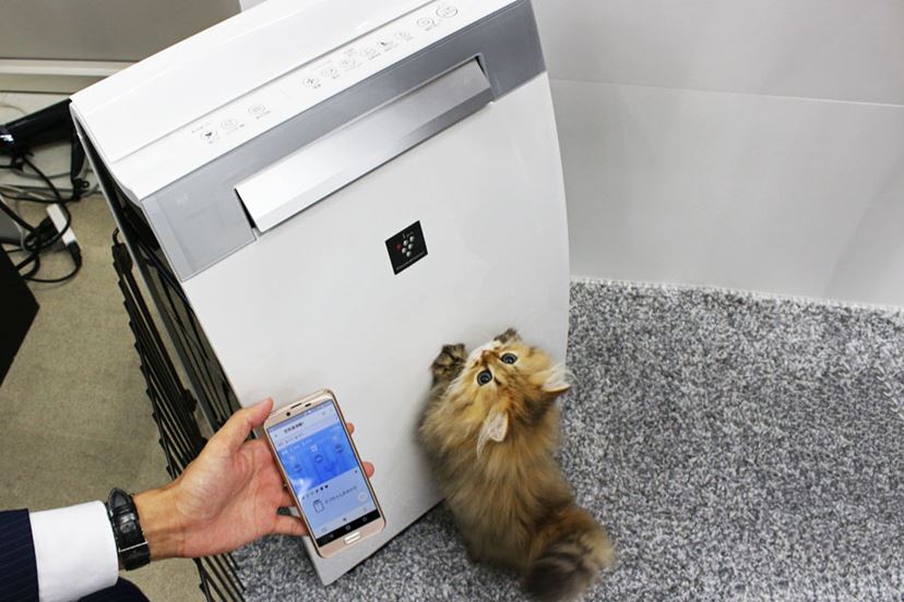 犬や猫を飼っている人に最適！ 「ペット専用運転」を搭載したシャープ