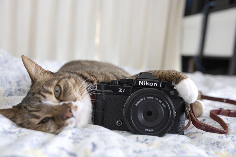 レトロな外観が魅力的なニコン「Z f」と見つめる“何気ない日常” - 価格