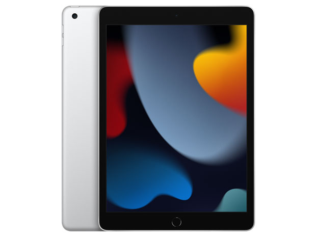Apple iPad 10.2インチ 第8世代 Wi-Fi+Cellular 128GB 2020年秋モデル