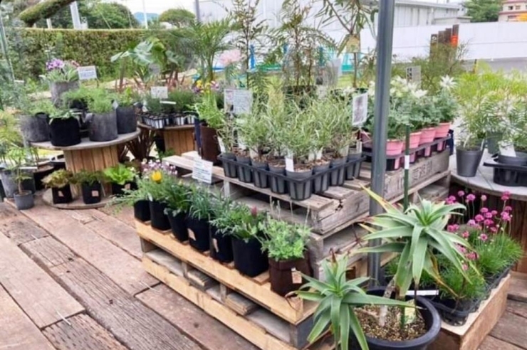 ガーデニングをもっと楽しく♪【姶良市】 | ～霧島姶良の新しいお店