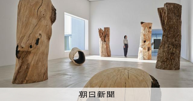 朽ちた木、奥入瀬、十和田湖… 彫刻家・国松希根太さんが青森で個展
