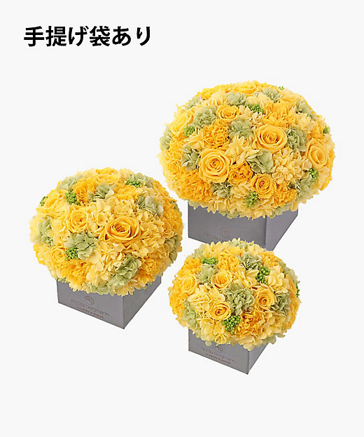 楽天市場】ブリザーブドフラワー イエローの通販