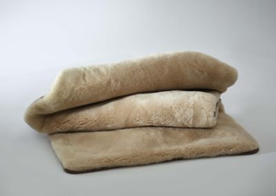 11014IJA3005521SV000