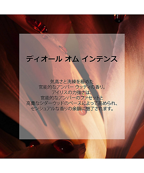 ディオール（Dior） ディオール オム インテンス（オードゥ パルファン