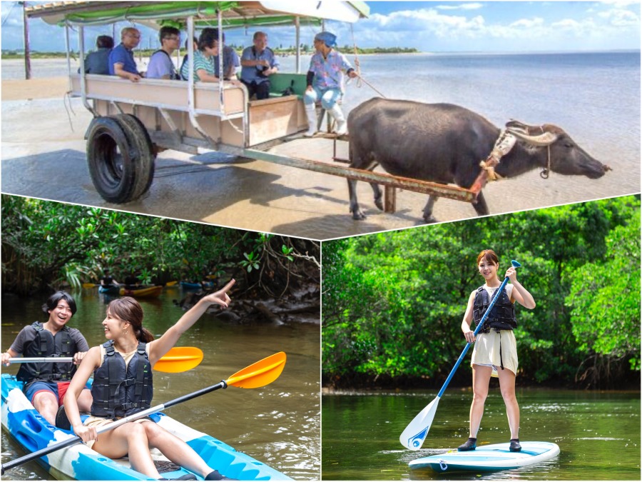 ツアーズ限定割引】西表島⇆石垣島フェリーチケット付き☆水牛車で渡る