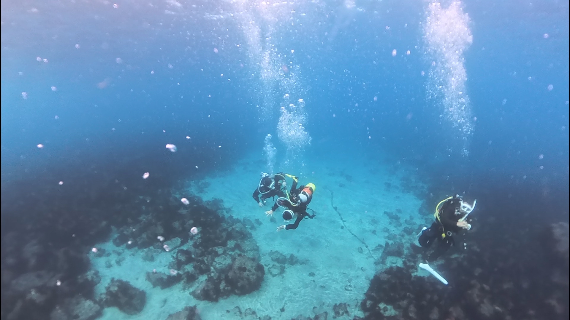 なんかやっぱ富戸なんだよな。 | 【伊豆初心者ダイビング】20ダイブ迄